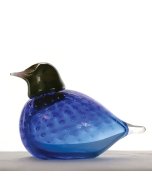 Blue Bollino Bird