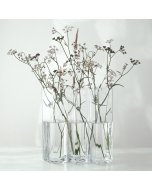 Row Vase - Clear 