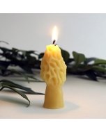 Mini Morel Beeswax Candle