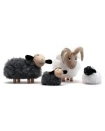 Winsome Sheep Family
