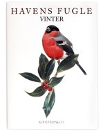 Winter Garden Birds Notecards