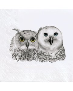 Owls Lunch Napkins