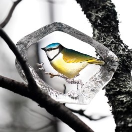 mats-jonasson-blue-tit-glass-
