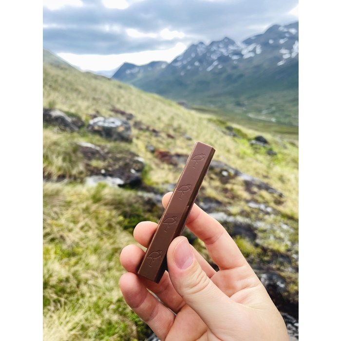 Kvikk Lunsj and the Candy Bar War - Sons of Norway