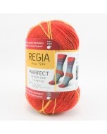 Pairfect Sock Yarn 9092 Aalhus