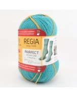 Pairfect Sock Yarn 6820 Straumen