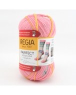 Pairfect Sock Yarn 9094 Astrup