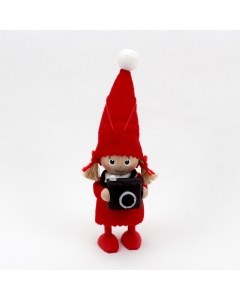 Tomte Girl with Camera