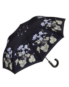 Anemone Umbrella