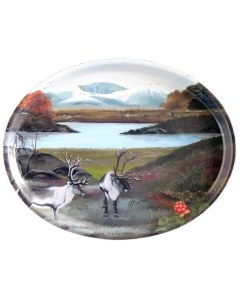 Arctic Reindeer Tray