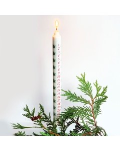 Berries Advent Candle