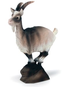 Henning Goat