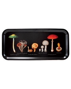 Mushroom Tray