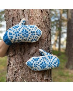 Reinrose Mitten Pattern