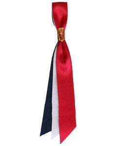 Syttende Mai Sløyfe Ribbon