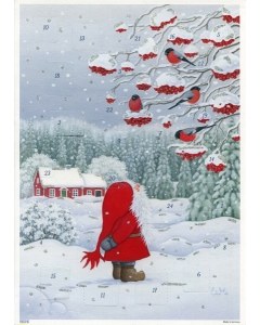 Tomte's Bullfinch Friends Advent Calendar